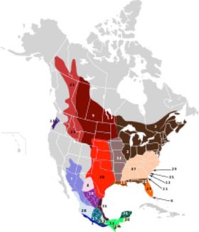 map of range of white-tailed deer