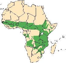 map of Africa showing waterbucks live in a band across central Africa and also along the southern eastern part of the continent