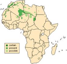 map showing the range of aoudad in northern Africa