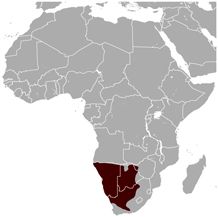 map showing gemsbok range in south western Africa