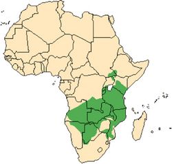 map showing range of eland in south central Africa