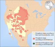 map showing range of pronghorns in the US from the Rockie Mountains west to the midwest