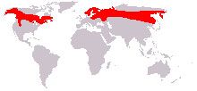 map showing range of shiras moose mostly across Canada and Northern Europe and Asia