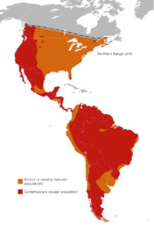 map showing range of mountain lions mostly in the western portion of the US, down through Central America and throughout most of South America